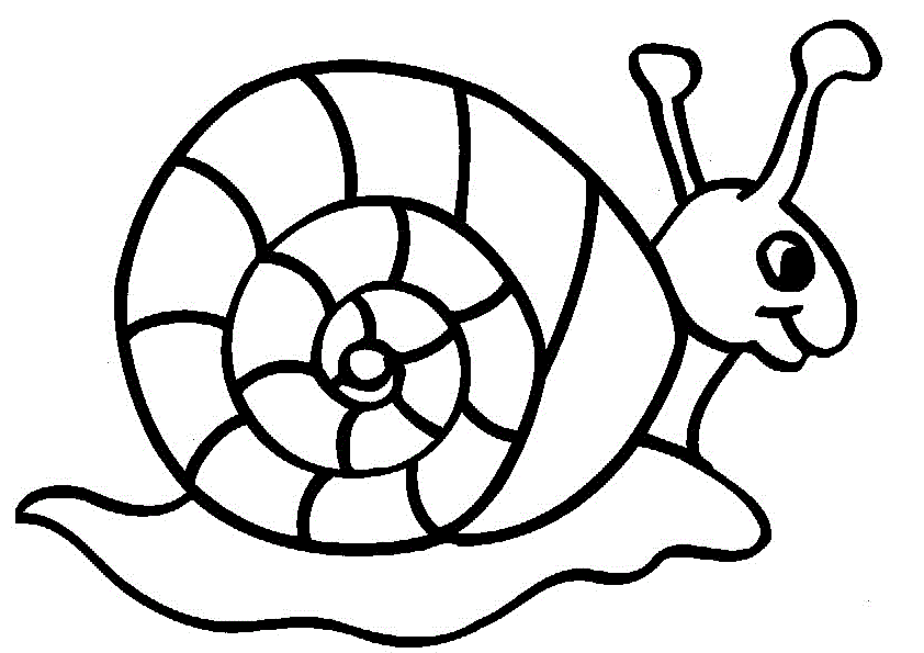 snail coloring page cute snail animal snail page coloring 