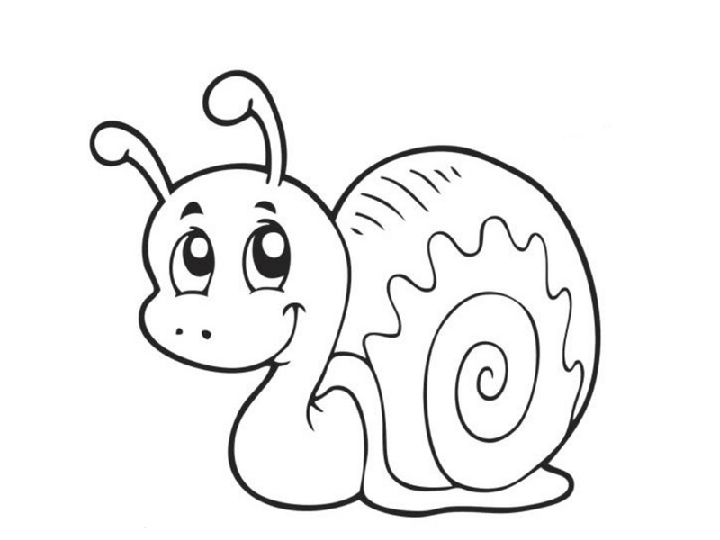 snail coloring page snail coloring page zoology butterfly coloring page snail page coloring 