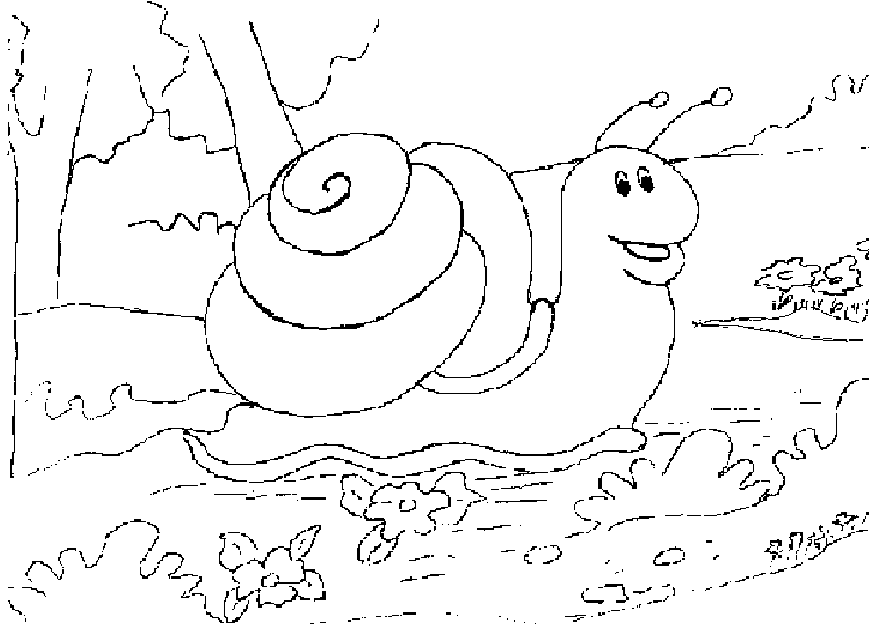 snail picture to colour snail coloring page coloring pages snail color picture colour to snail 