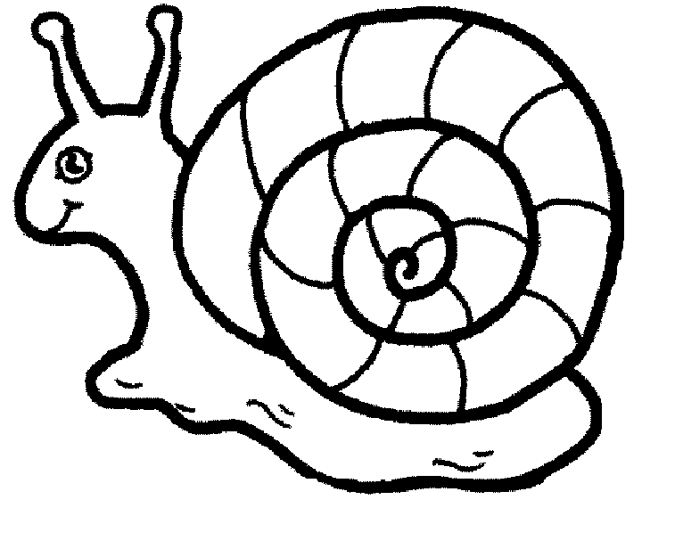 snail picture to colour snail coloring page getcoloringpagescom picture to colour snail 