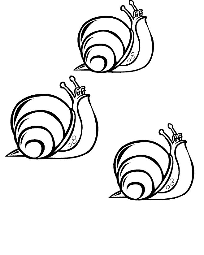 snail picture to colour snail coloring pages clipart best colour to picture snail 
