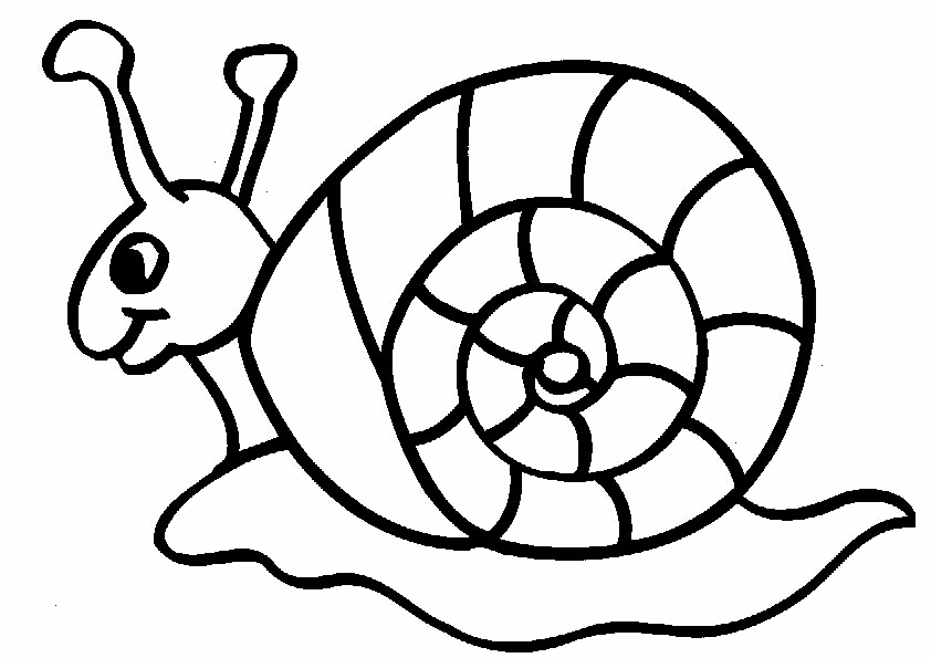 snail picture to colour snail printable coloring sheet for kids snail picture to colour 