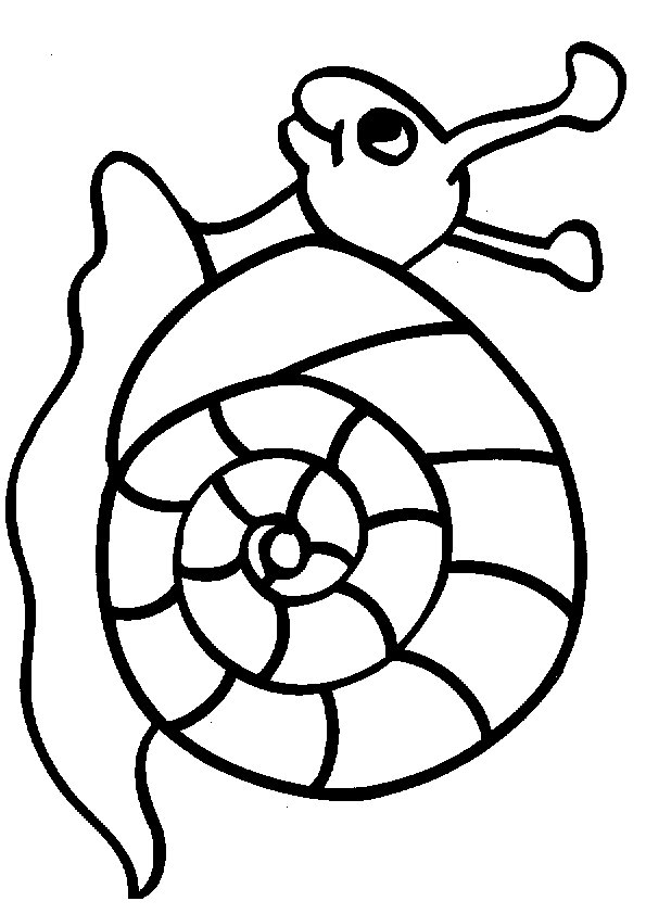 snail picture to colour snails coloring pages free coloring pages picture to colour snail 