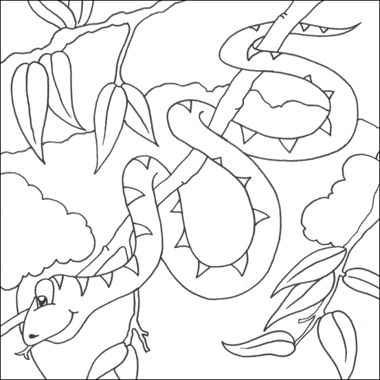 snake coloring page 9 snake coloring pages jpg psd free premium templates page snake coloring 