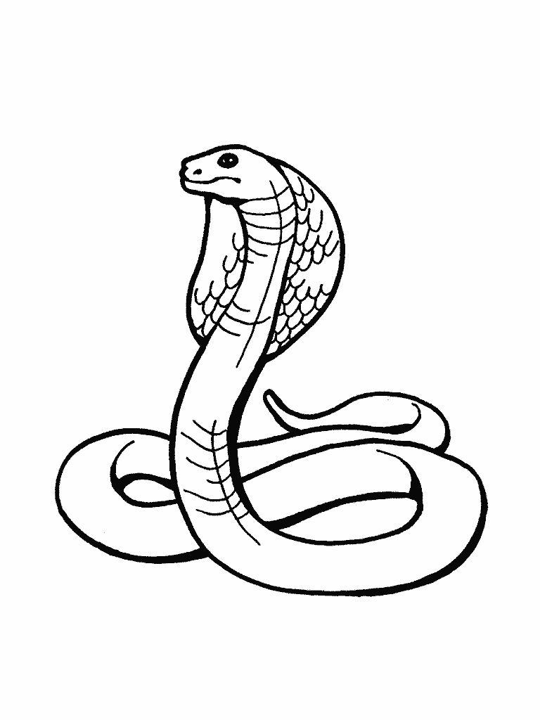 snake coloring page free printable snake coloring pages for kids page coloring snake 