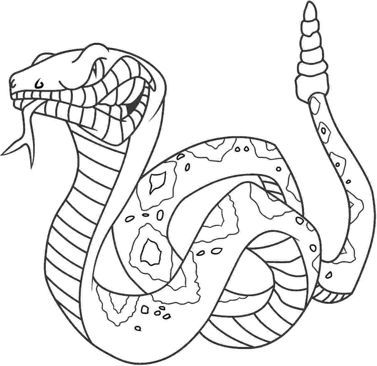 snake coloring page snake coloring pages coloring snake page 