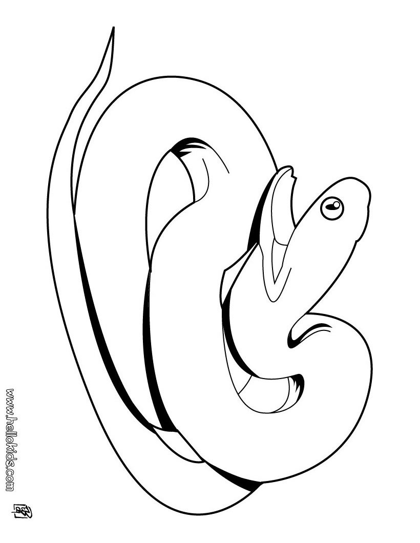 snake colouring pages coloring pages snake pages colouring 