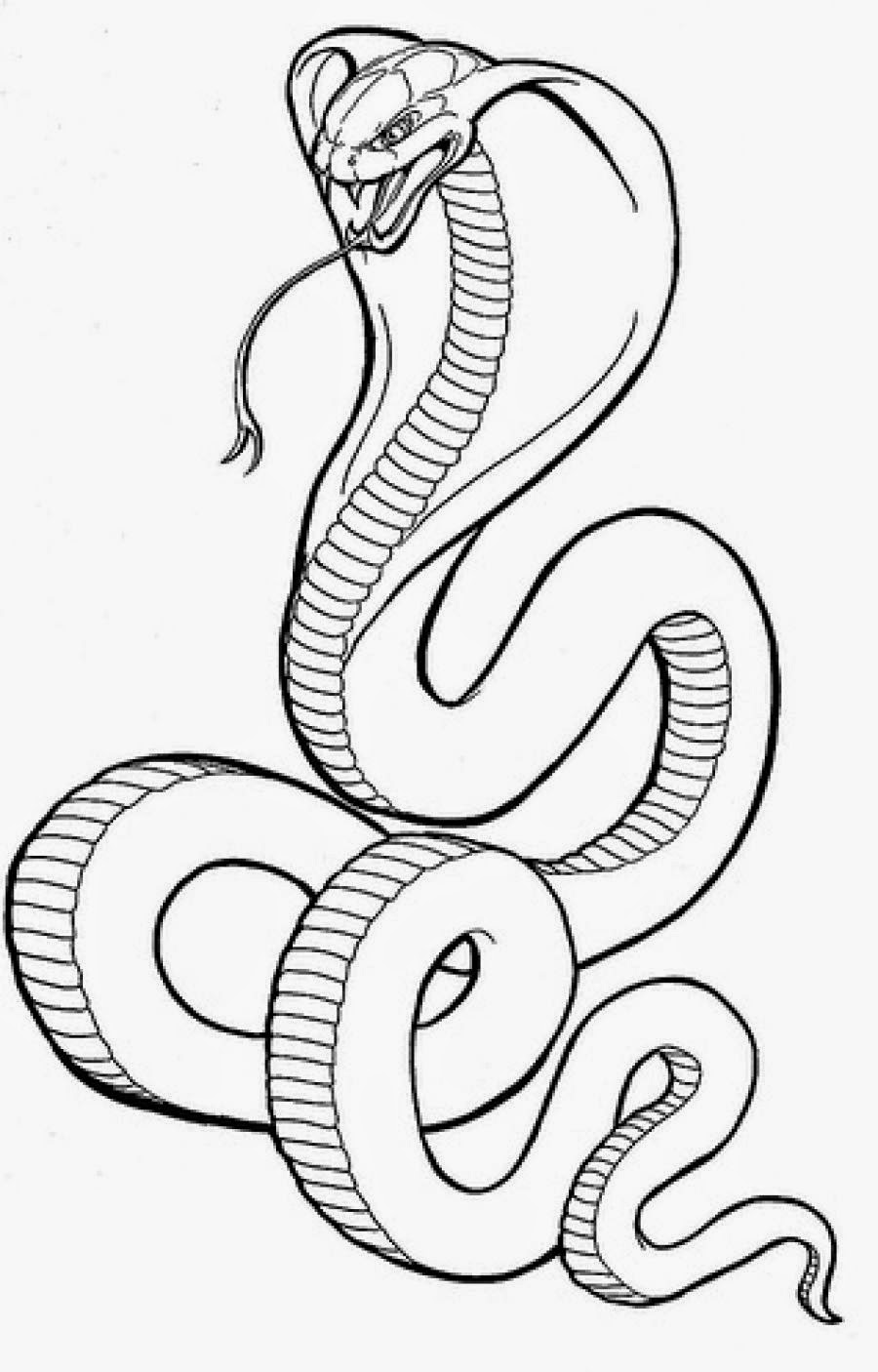 snake colouring pages free printable snake coloring pages for kids colouring snake pages 