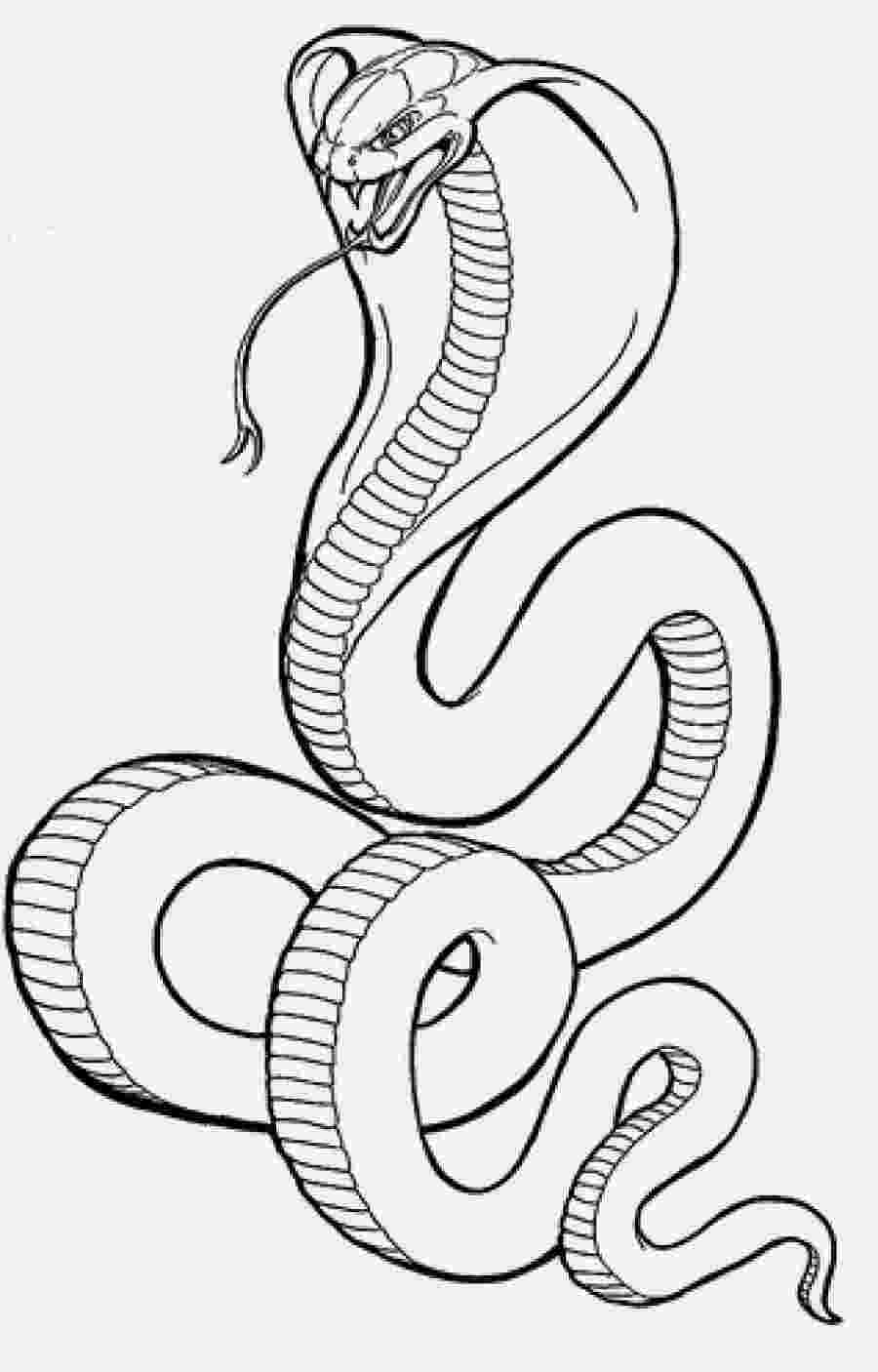 snakes colouring pages easier king cobra snake coloring pages printable snakes pages colouring 