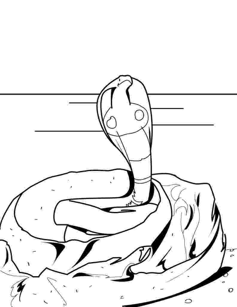snakes colouring pages free printable snake coloring pages for kids pages snakes colouring 1 2