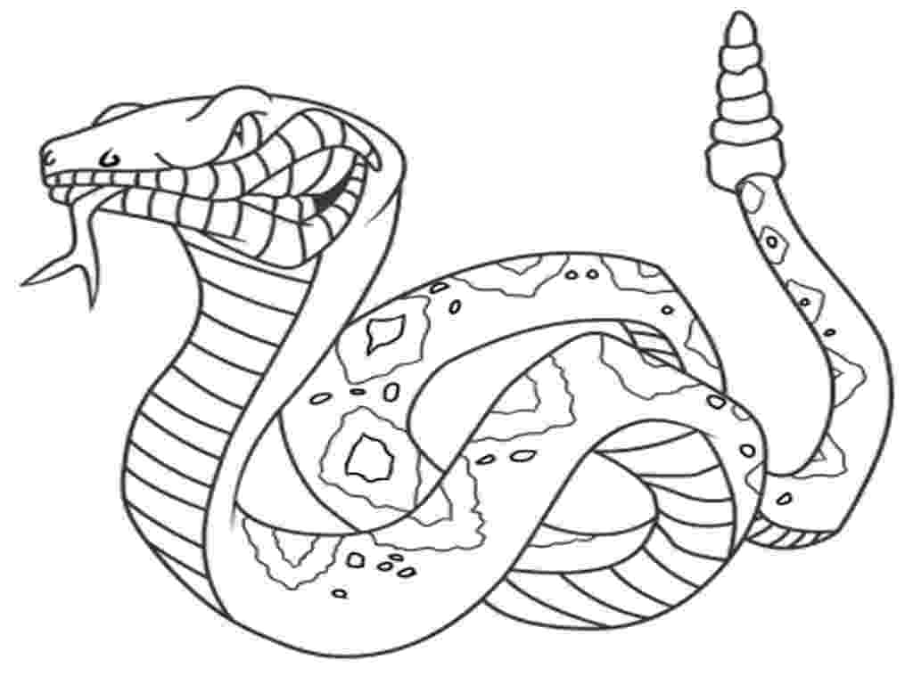 snakes colouring pages snake coloring pages 16 coloring kids colouring pages snakes 