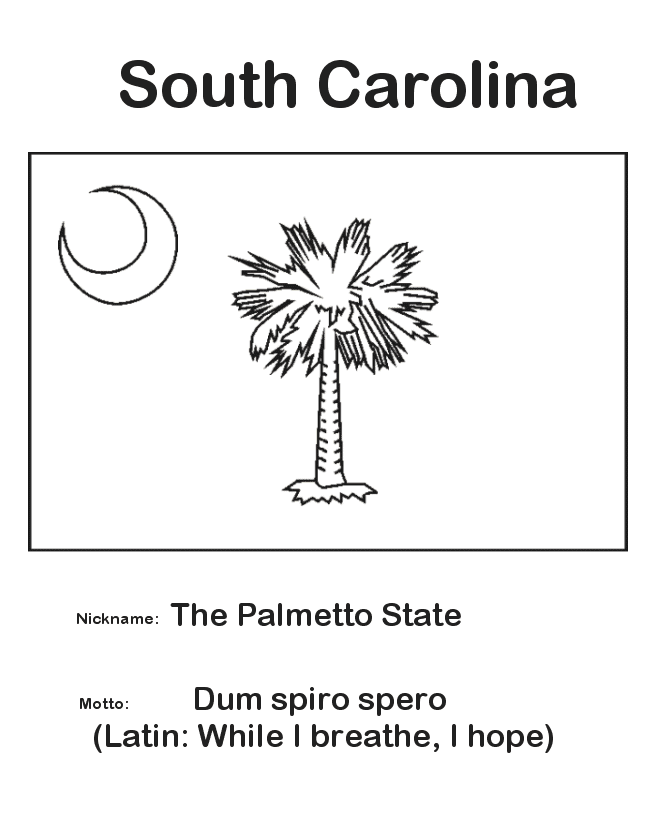 south carolina coloring pages 50 state flowers coloring pages for kids pages south coloring carolina 