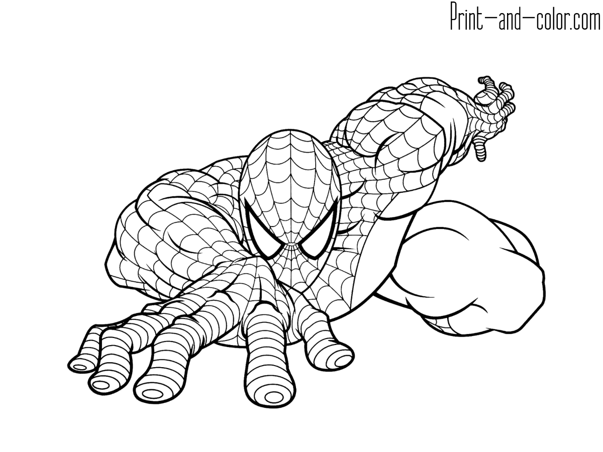 spiderman colouring pics printable spiderman coloring pages for kids cool2bkids spiderman pics colouring 