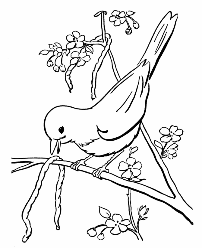 spring birds coloring pages birds and flowers spring coloring page favecraftscom birds pages spring coloring 