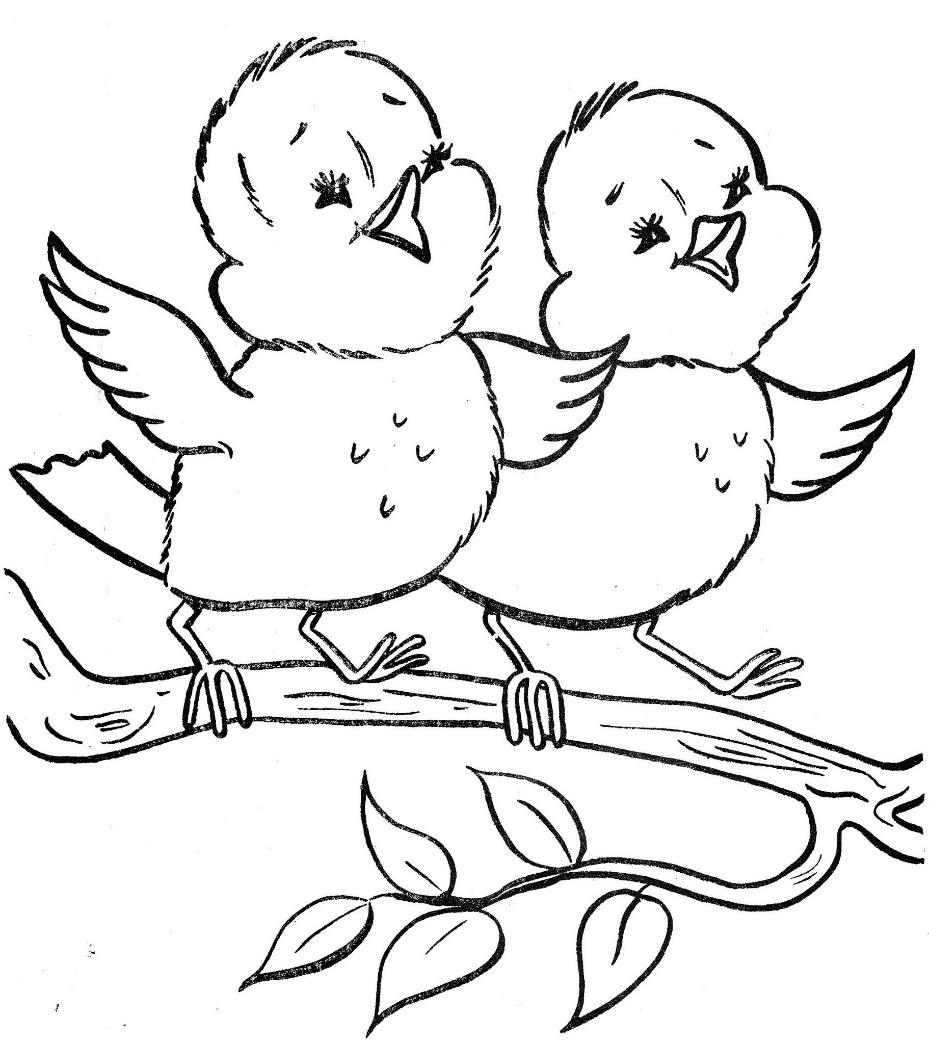 spring birds coloring pages رسومات للتلوين موقع المعلمة ألحان أبو الهيجا pages spring coloring birds 