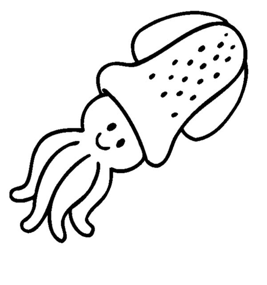 squid coloring pages squid coloring pages to printable marine animals coloring squid pages 