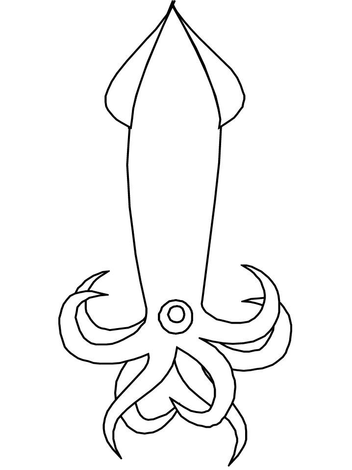 squid coloring pages top 10 free printable squid coloring pages online pages coloring squid 