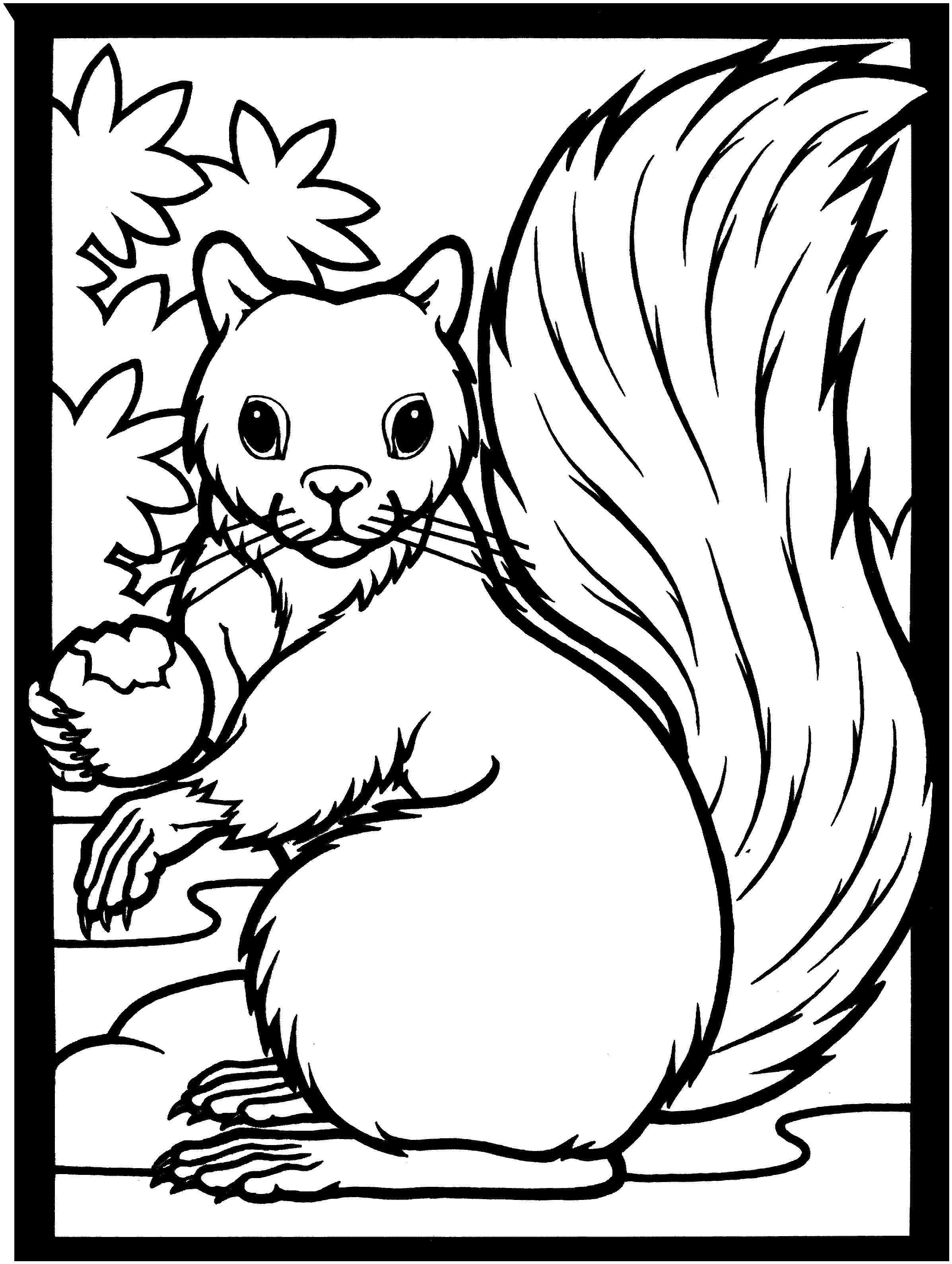 squirrel colouring free printable squirrel coloring pages for kids colouring squirrel 