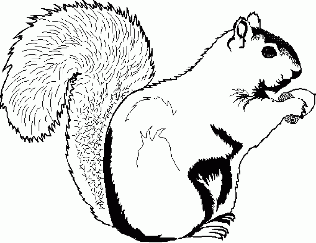 squirrel colouring free printable squirrel coloring pages for kids squirrel colouring 1 1