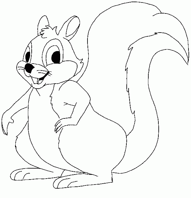 squirrel colouring squirrel coloring page free printable coloring pages colouring squirrel 