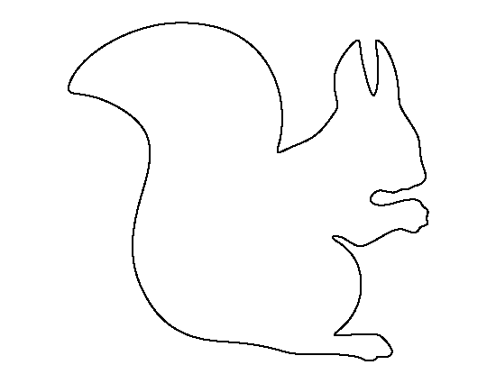 squirrel pictures to print free printable squirrel coloring pages for kids to print pictures squirrel 