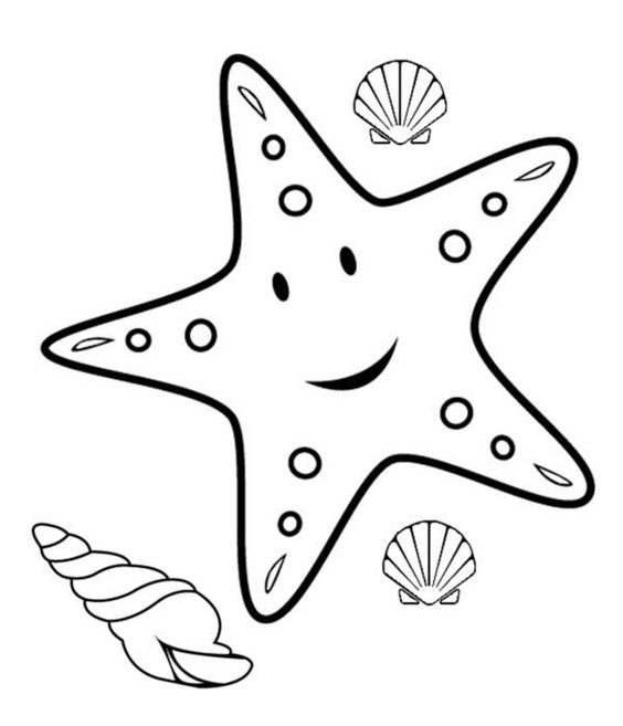 starfish to color 18 best starfish images on pinterest starfish beach color starfish to 