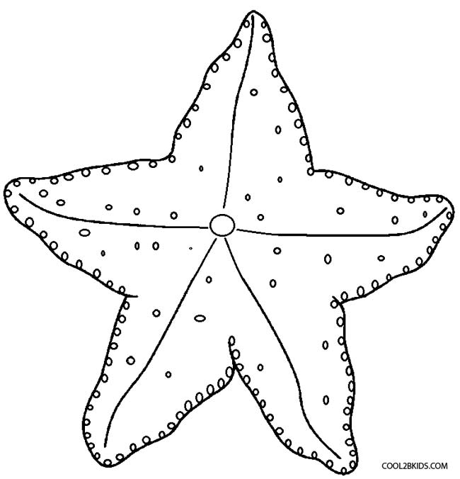 starfish to color printable starfish coloring pages for kids cool2bkids color to starfish 1 1