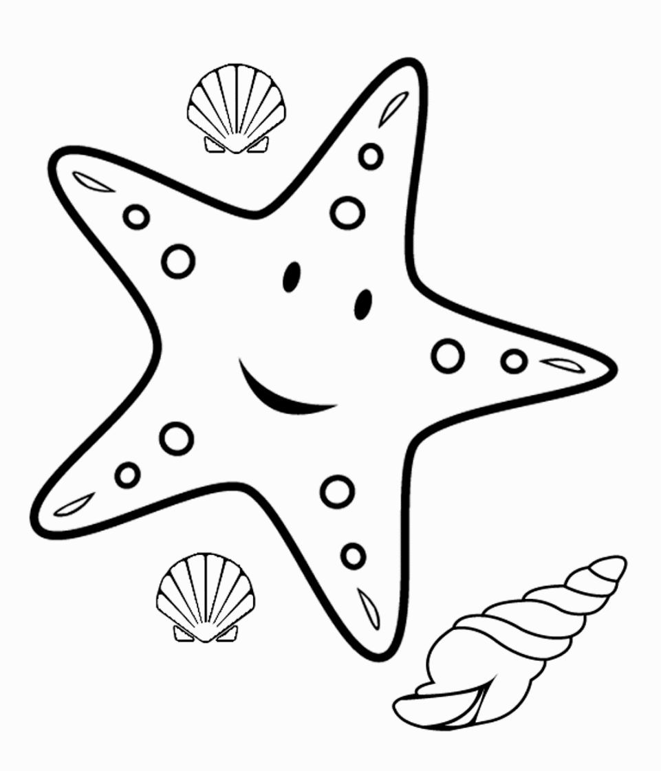 starfish to color starfish coloring pages cartoon starfish animal to starfish color 