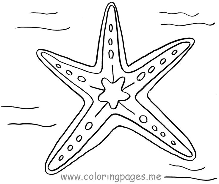 starfish to color starfish outline drawing at getdrawings free download color starfish to 