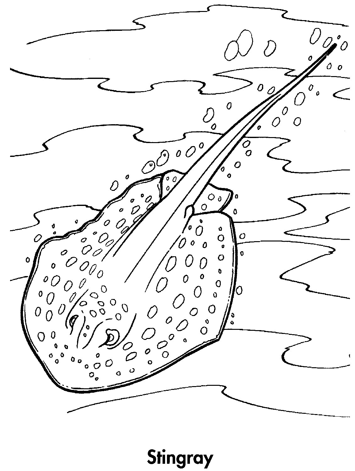 stingray colouring pages sport life planet earth coloring book awesome animals 95 pages stingray colouring 