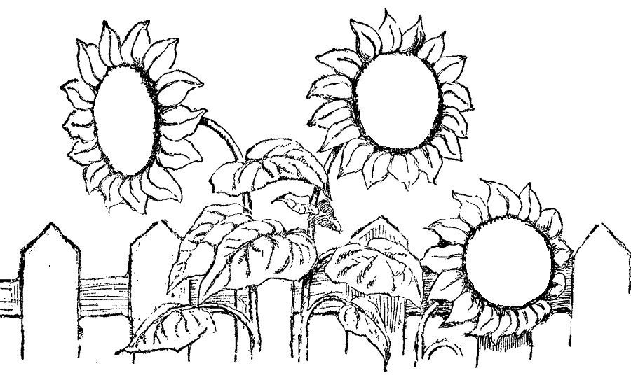 sunflower coloring pictures free printable flower coloring pages for kids best coloring sunflower pictures 