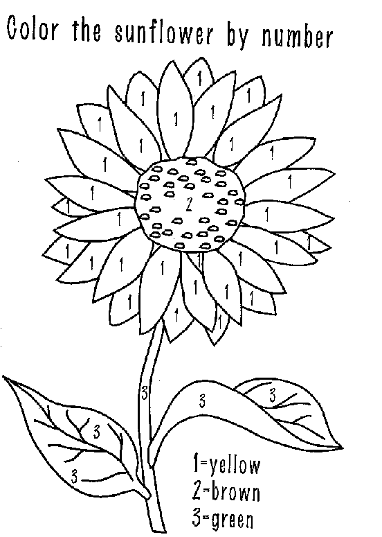 sunflower to color free coloring pages printable sunflower coloring pages sunflower color to 