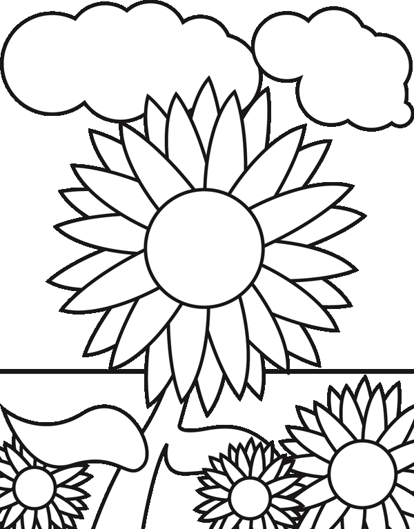 sunflower to color printable sunflower coloring pages for kids cool2bkids color to sunflower 