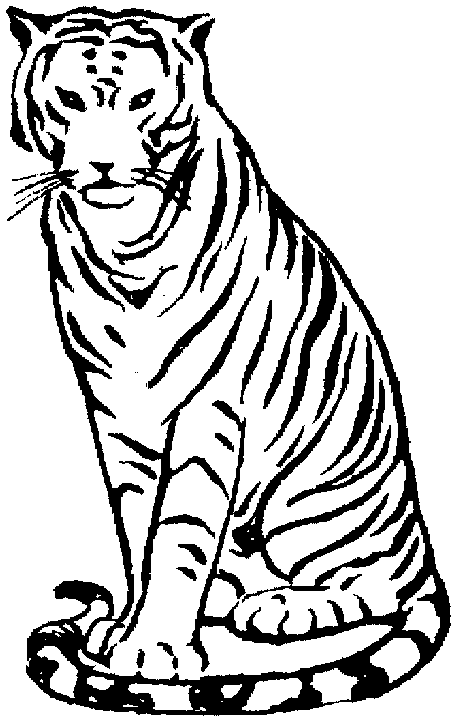tiger coloring page baby tiger coloring pages getcoloringpagescom page tiger coloring 