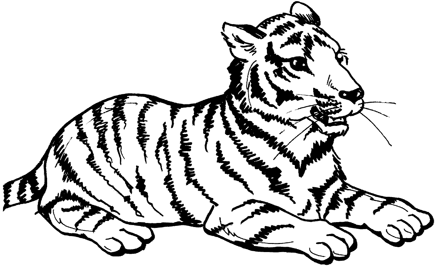 tiger to color big cat coloring pages color tiger to 