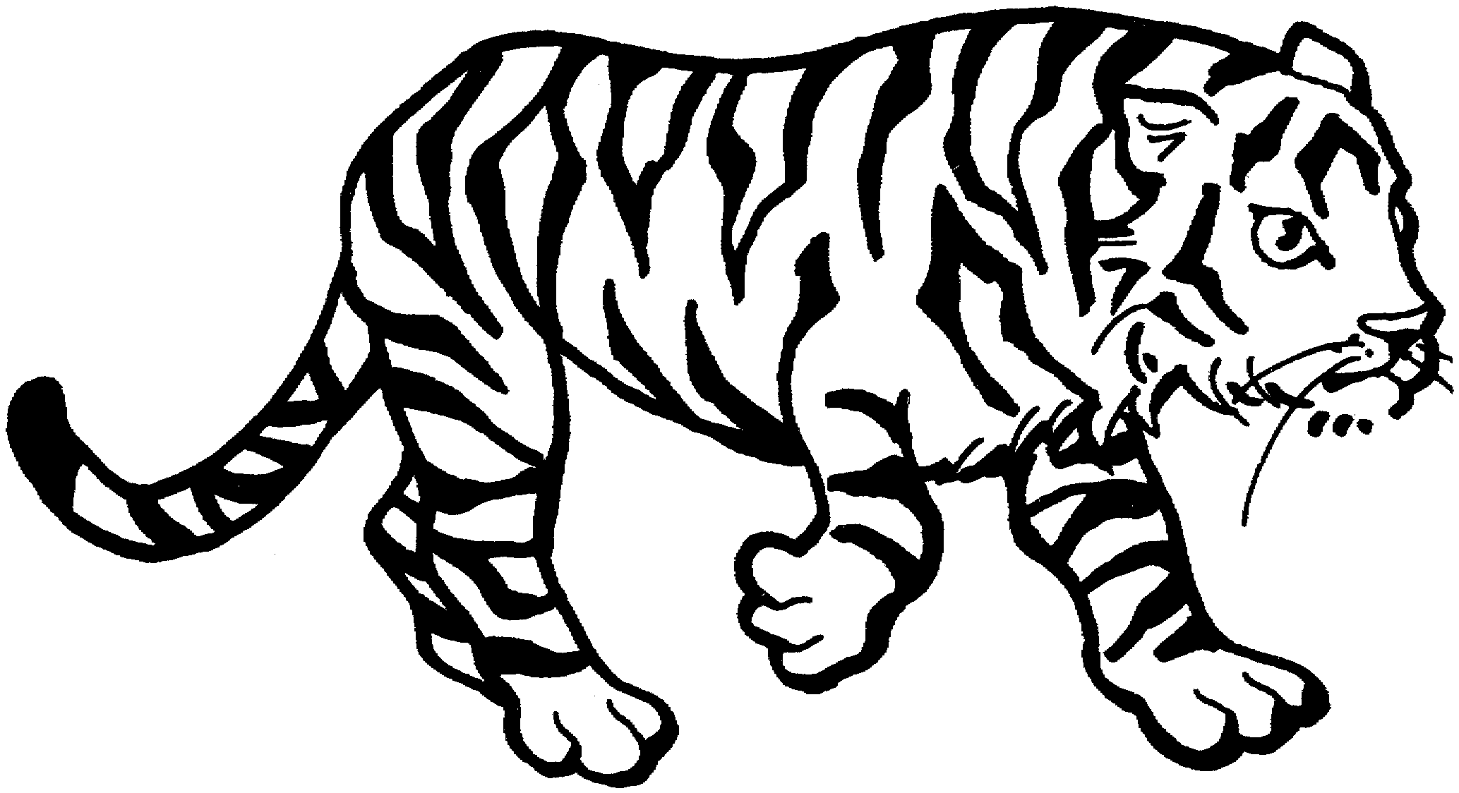 tiger to color tiger coloring pages free download on clipartmag color tiger to 