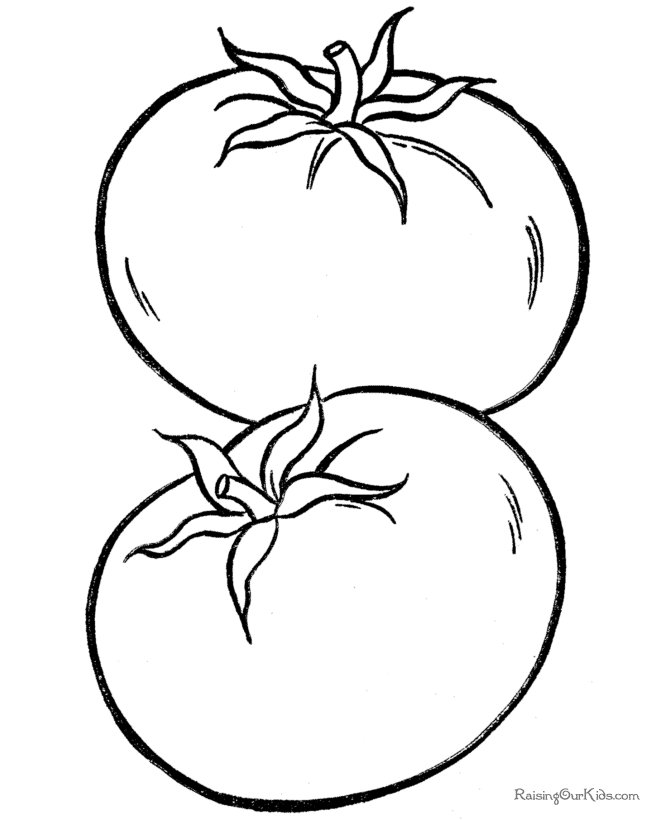 tomatoes coloring pages tomato drawing at getdrawingscom free for personal use tomatoes pages coloring 