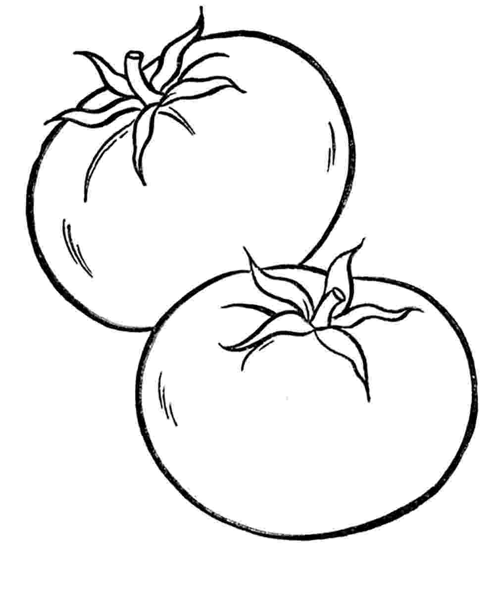 tomatoes coloring pages tomato line drawing at paintingvalleycom explore tomatoes coloring pages 