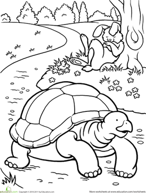 tortoise pictures to colour tortoise 01 coloring page coloring page central tortoise colour pictures to 