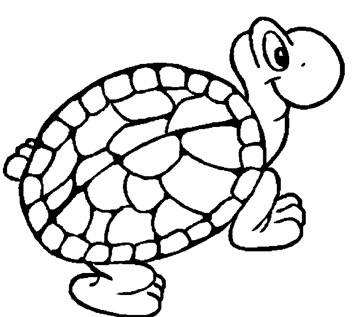 tortoise pictures to colour tortoise turtle coloring page wecoloringpagecom tortoise to pictures colour 