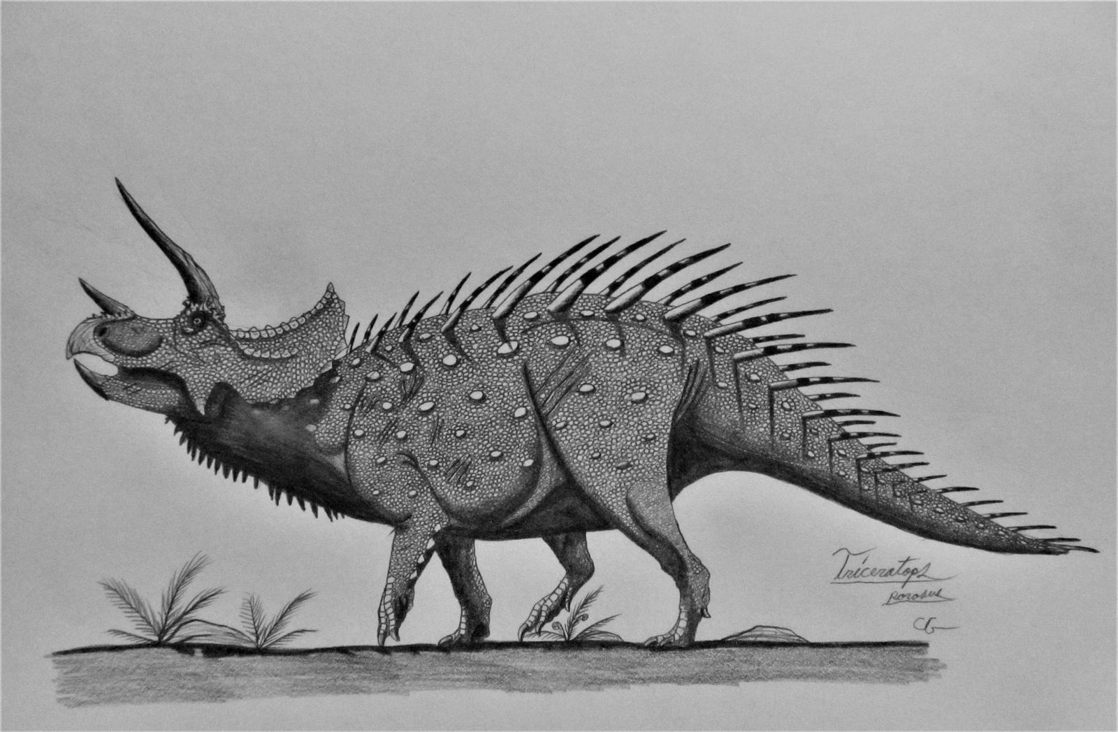 triceratop dinovember 15 triceratops prorsus by acrosaurotaurus on triceratop 