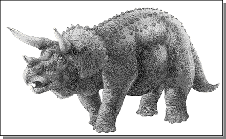 triceratop ostrom39s triceratops by getawaytrike on deviantart triceratop 