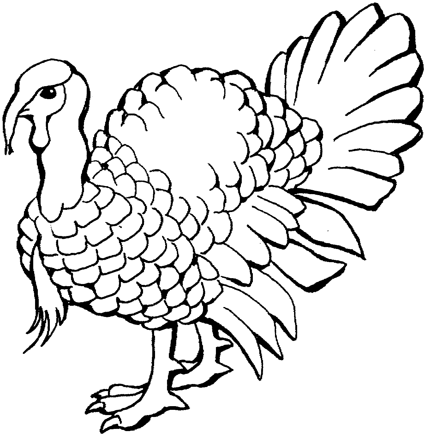 turkeys to color free printable turkey coloring pages for kids turkeys to color 