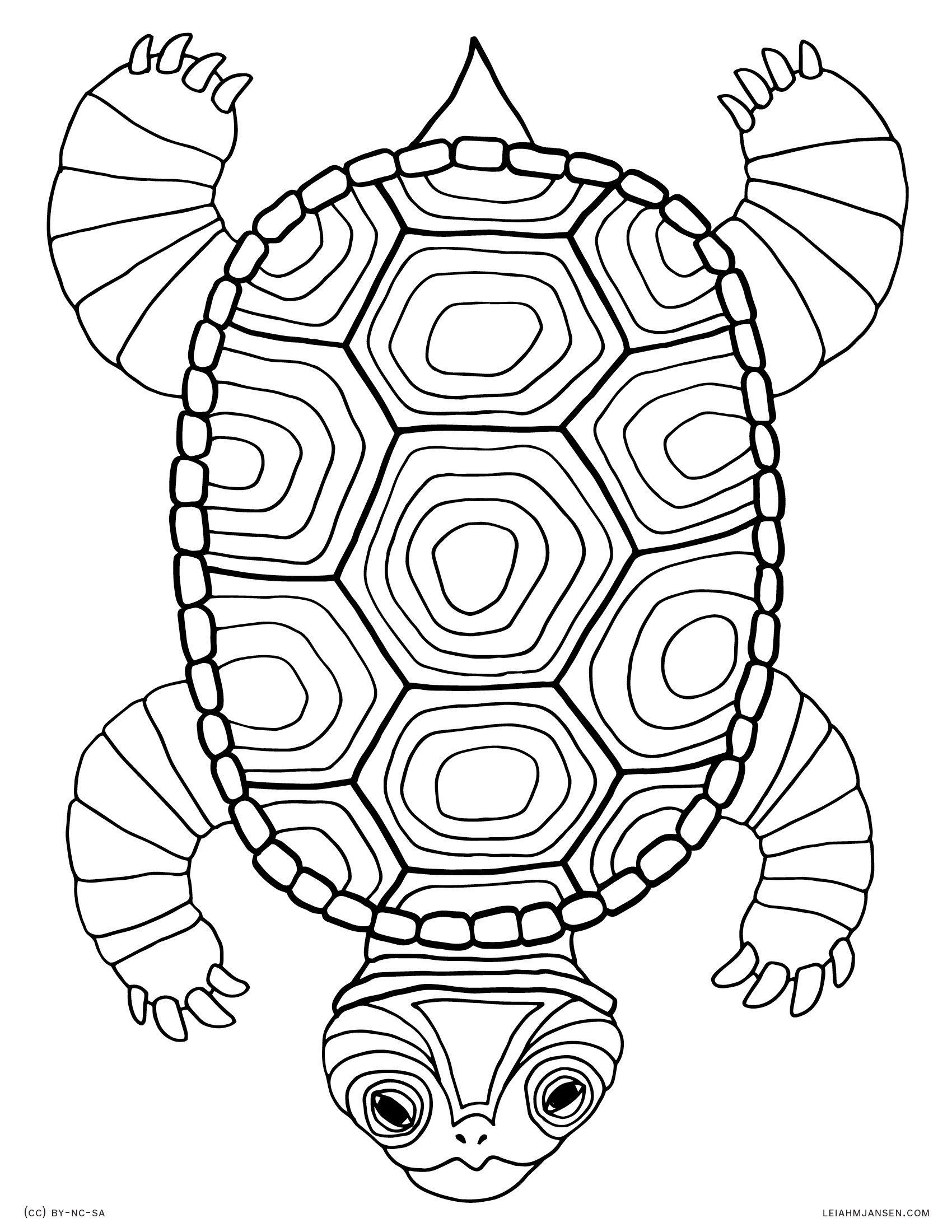 turtle colouring sheets 19 turtle templates crafts colouring pages free turtle sheets colouring 