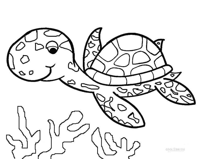turtle pictures for coloring printable sea turtle coloring pages for kids cool2bkids pictures turtle coloring for 
