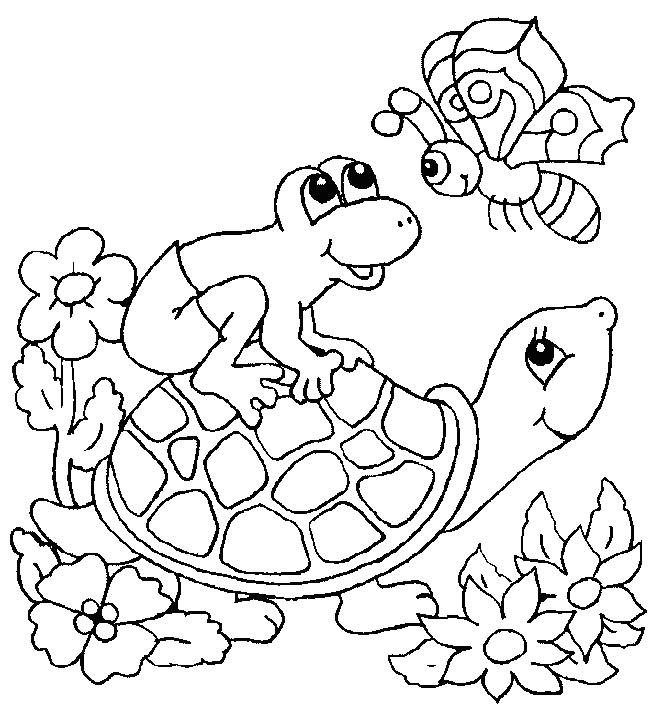 turtle pictures to print turtle cute animal pages printable for drawing to print turtle pictures 