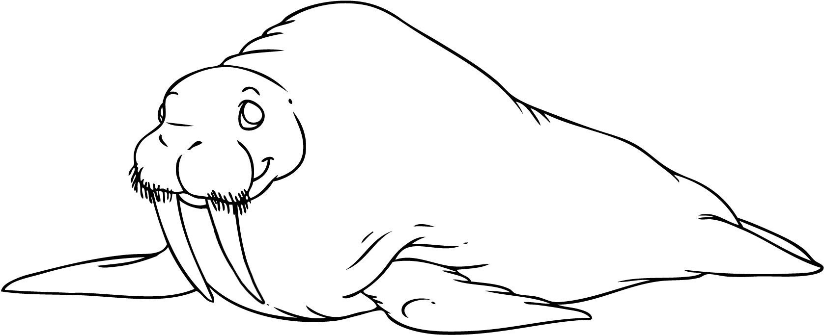 walrus coloring pages w is for walrus coloring page free printable coloring pages pages coloring walrus 