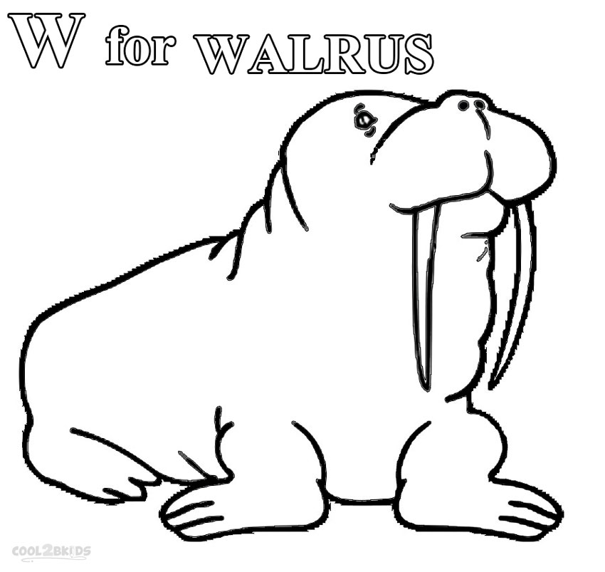 walrus coloring pages walrus with cute baby coloring page free printable walrus coloring pages 