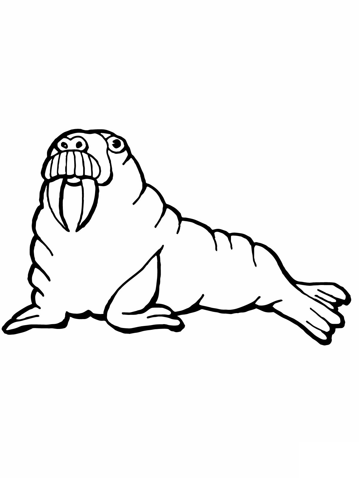 walrus pictures to print free printable walrus coloring pages for kids pictures to walrus print 