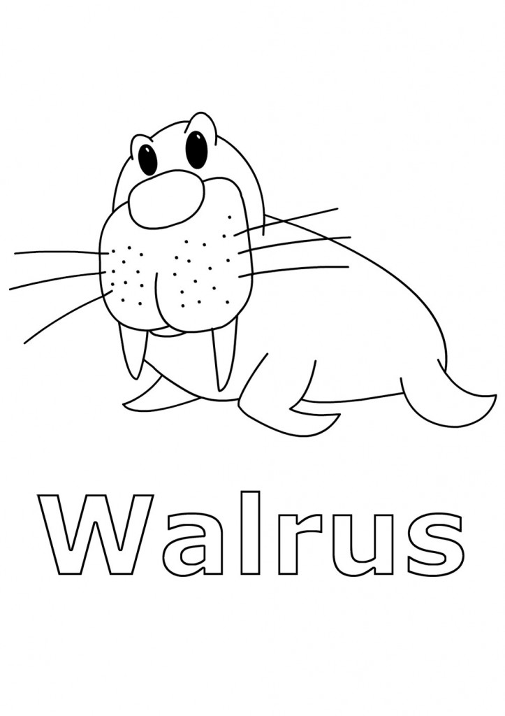 walrus pictures to print free printable walrus coloring pages for kids print pictures walrus to 